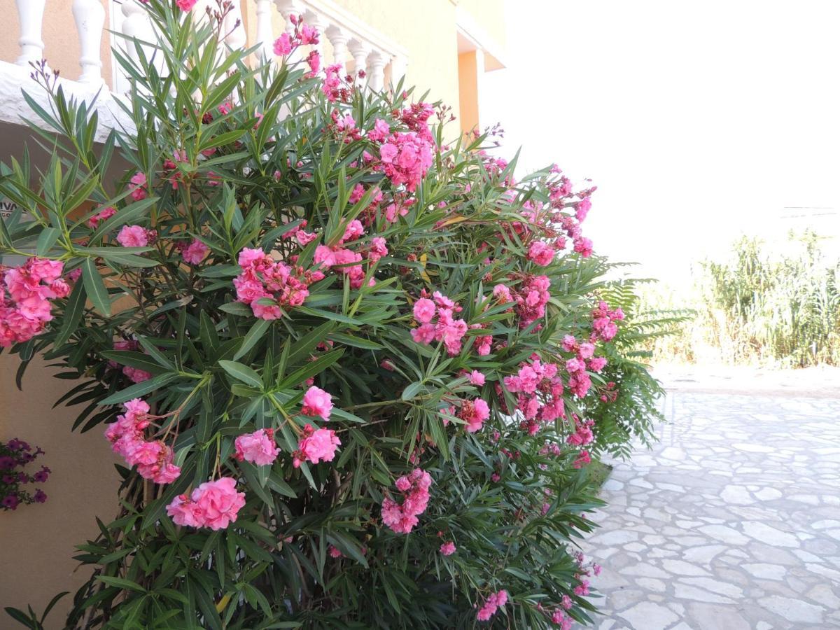 Apartman Husic Pag Town Exterior photo